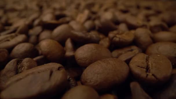 Fondo chicchi di caffè. Primo piano dei semi di caffè — Video Stock