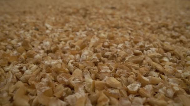 Wheat grit close-up. Wheat porridge moving slowly over them in close up view — Stock Video