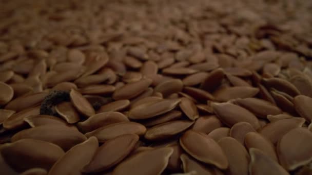 Seed of flax adalah close-up motion background — Stok Video