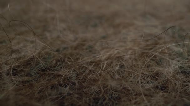 Fondo de chal de lana gris macro — Vídeos de Stock