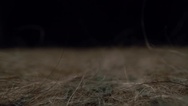 Макро сірий вовняний фон хустки — стокове відео