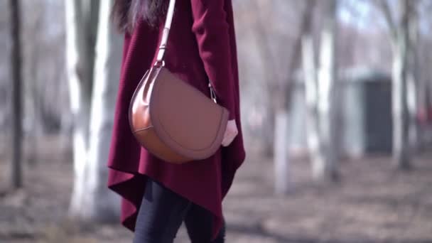 Obchodní žena s kabelkou procházky v parku — Stock video