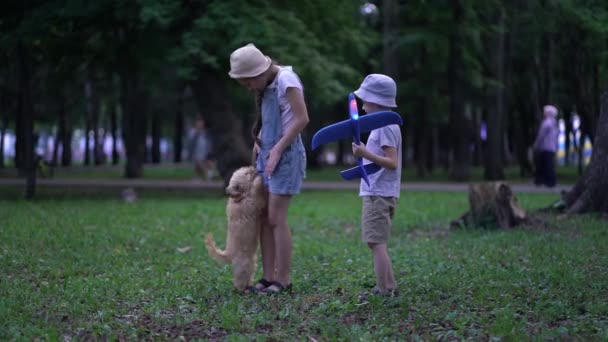 Kleiner Junge mit Flugzeug und Mädchen spielen mit süßem Pudelhund im Park — Stockvideo