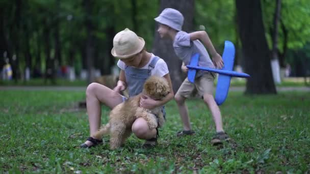Little boy with plane and girl play with cute poodle dog outdoors in park — Stock Video
