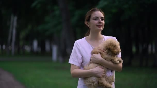 Γυναίκα με σκυλάκι που περπατάει στο πάρκο — Αρχείο Βίντεο