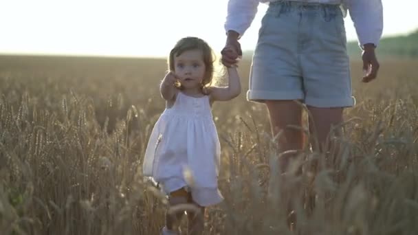 Hijita y mamá caminan alrededor del campo de trigo tomados de la mano — Vídeos de Stock