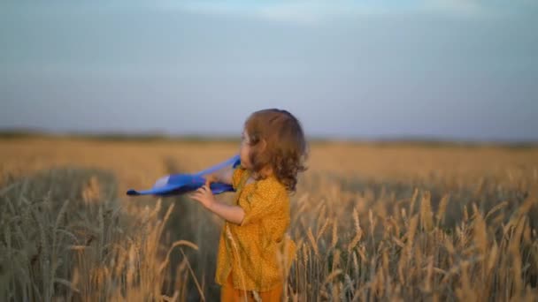 Fericit fetiță joc cu jucărie avion în câmp de grâu — Videoclip de stoc