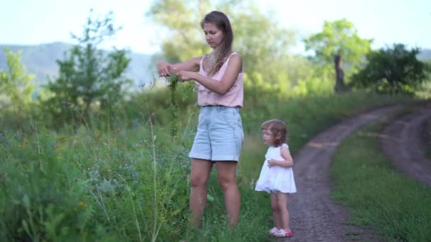Mamá pone una corona de flores silvestres en la cabeza de sus hijas en la naturaleza — Vídeos de Stock