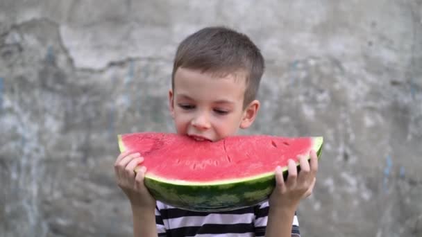 Ritratto del bambino in età prescolare mangiare anguria fresca — Video Stock
