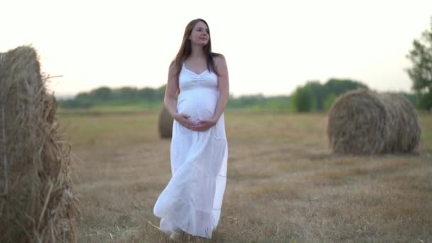 Mulher grávida bonita no campo de trigo com palheiro no dia de verão — Vídeo de Stock