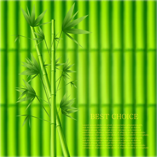 Vector modern green bamboo background. — Stock Vector