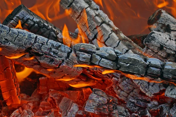 Mongale mangal yakacak odun yanan — Stok fotoğraf