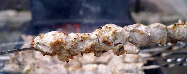 Pyszne Mięso kebab na szaszłyki — Zdjęcie stockowe