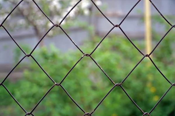 Забор из металлической проволоки — стоковое фото