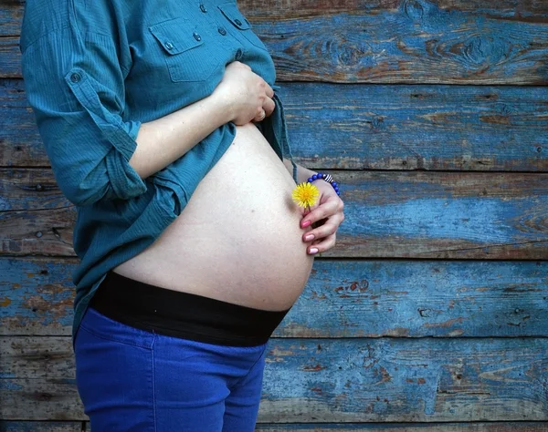 Pregnant girl with a dandelion — Stock Photo, Image