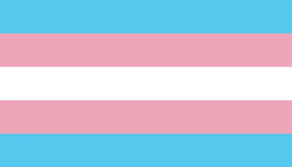 Vector modern transgender flag background — 스톡 벡터