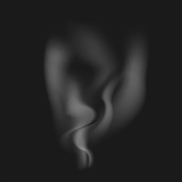 Vector realistic white smoke on a black — Stok Vektör