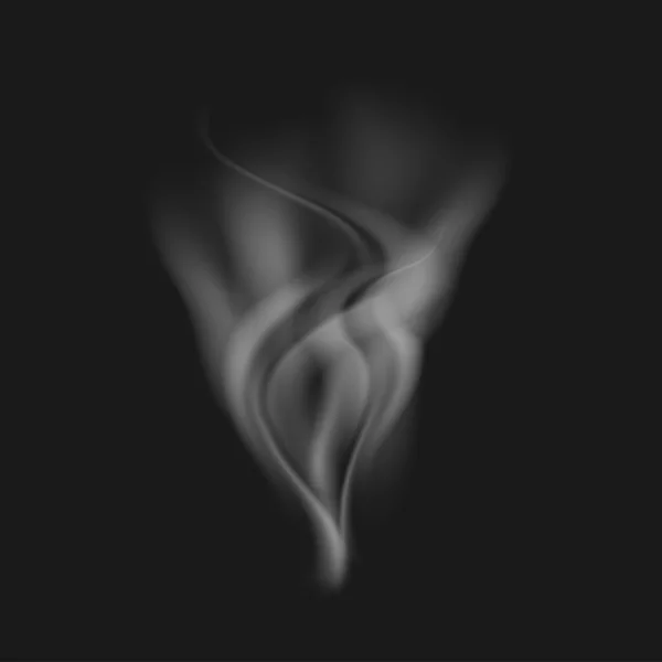 Vector realistic white smoke on a black — Stockový vektor