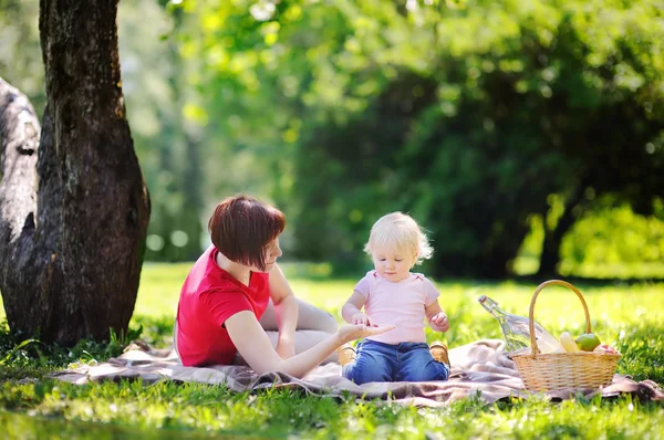 Mellersta åldern kvinna och hennes lilla barnbarn har picknick — Stockfoto