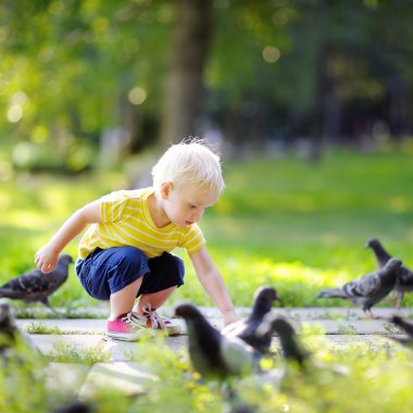 Parkta yürüyüş ve güvercin besleme toddler 