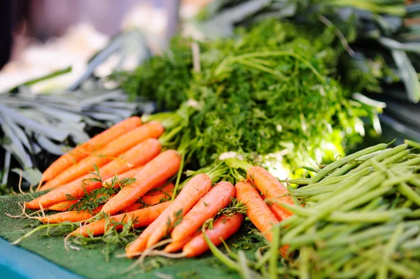 Fresh healthy bio carrots — Stock Photo, Image