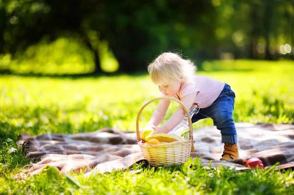 Toddler dziecko pikniku — Zdjęcie stockowe