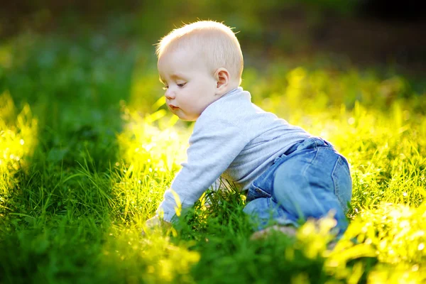 Liten pojke — Stockfoto