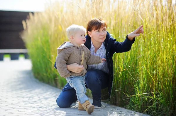 Frau und ihr kleiner Enkel spielen im Freien — Stockfoto