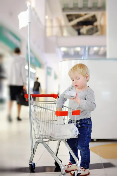 蹒跚学步的男孩把购买小的购物车中 — 图库照片