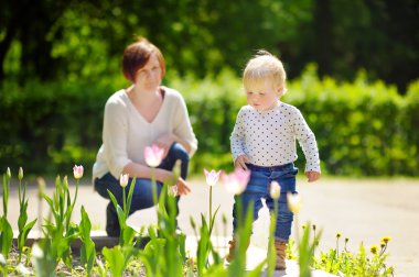 Kadın ve torunu Park'ta yürüyordunuz orta yaşları