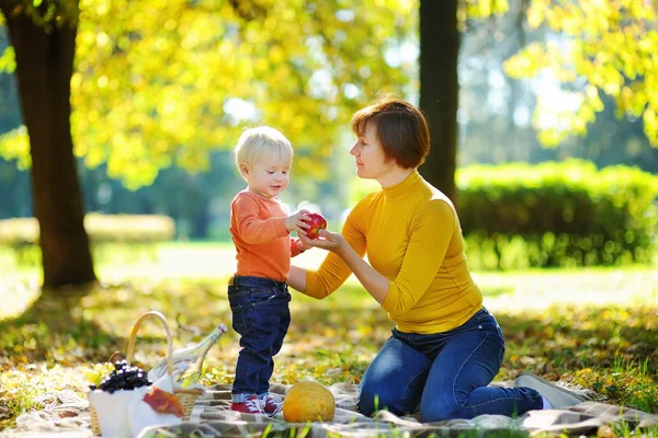 Frau und ihr entzückender kleiner Enkel beim Picknick — Stockfoto