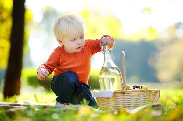Toddler chłopiec piknik — Zdjęcie stockowe