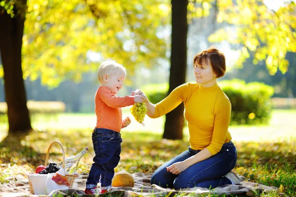 Mujer de mediana edad y su nieto haciendo un picnic — Foto de Stock