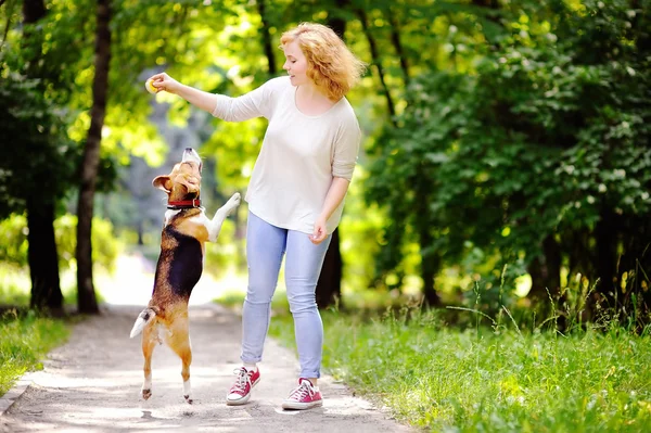 Jovem mulher bonita brincando com cão Beagle — Fotografia de Stock