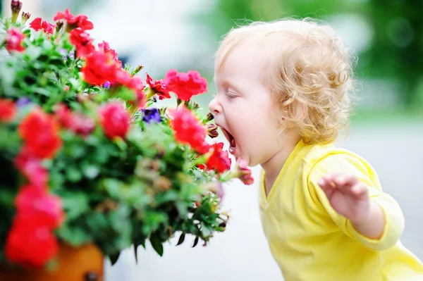 Lockiges Haar Kleinkind Mädchen riecht rote Blumen — Stockfoto