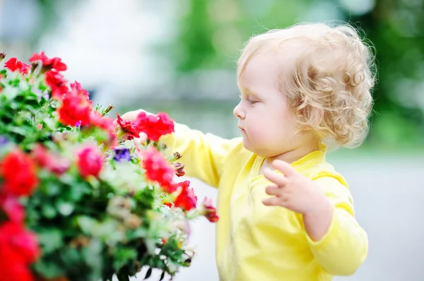 Grappige krullend haar peuter meisje rode bloemen ruiken — Stockfoto