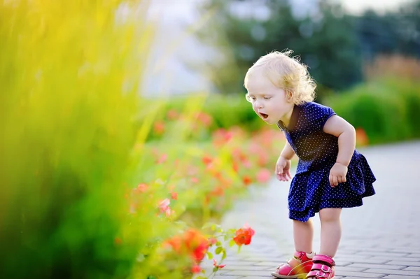 Toddler dziewczynka pachnące kwiaty czerwone — Zdjęcie stockowe