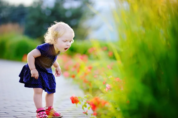 幼児の女の子が赤い花の臭いがします。 — ストック写真