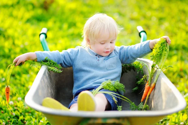 Niño divirtiéndose en una carretilla —  Fotos de Stock