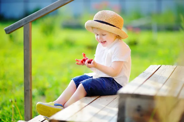 Toddler chłopiec patrząc na swoje żniwo na farmie malina — Zdjęcie stockowe