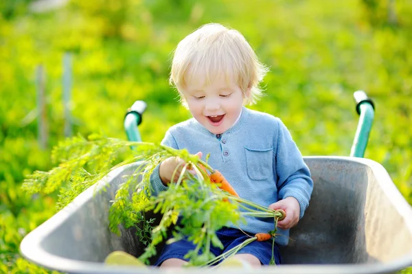 Bambino ragazzo avendo divertente in un carriola — Foto Stock