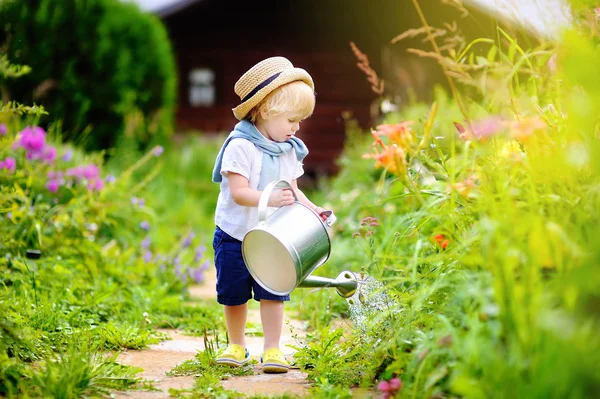 植物に水をまく麦藁帽子でかわいい幼児の少年 — ストック写真