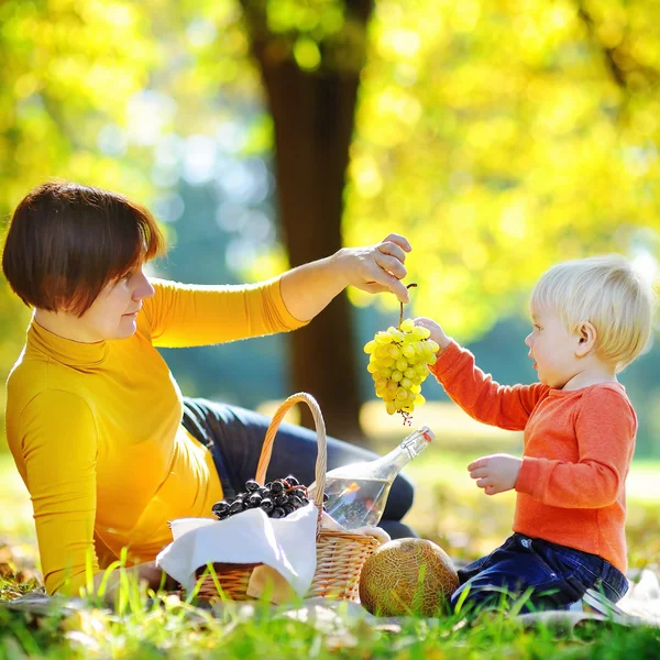 Schöne Frau und ihr kleiner Enkel beim Picknick — Stockfoto