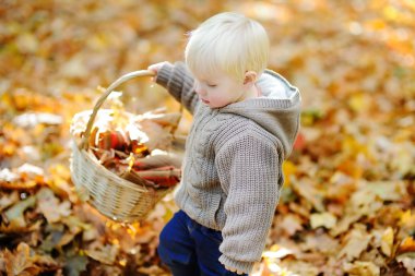 küçük çocuk sonbahar yaprakları ile oynama
