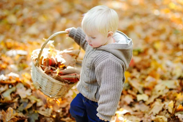 Ragazzino che gioca con foglie autunnali — Foto Stock