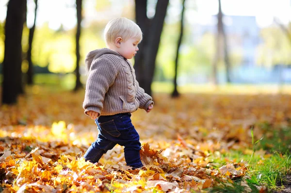 Toddler walking in the park at the autumn — Stock Photo, Image