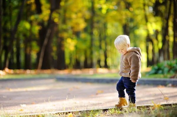 Passeggiata del bambino nel parco in autunno — Foto Stock