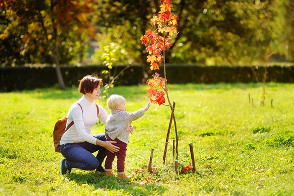 Schöne Frau und ihr kleiner Enkel beim Anblick des schönen Herbstbaumes — Stockfoto