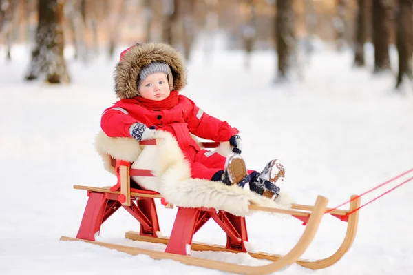 Portret chłopca piękny maluch w winter park — Zdjęcie stockowe