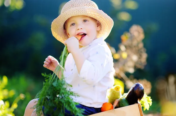 Malý chlapec jíst bio mrkev seděl na dřevěné bedně — Stock fotografie